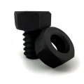 Fiberlogy PA12+GF15 Black - print.png