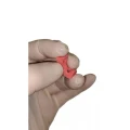 type-d-gingiva (2).jpg