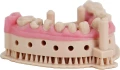 liqcreate-dental-model-pro-beige-391103-en.jpg