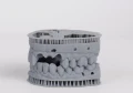 Liqcreate Dental Model Pro gray.jpg