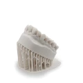 Harz_labs_dental_bone.webp