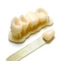 Harz_Labs_Dental_sand.webp